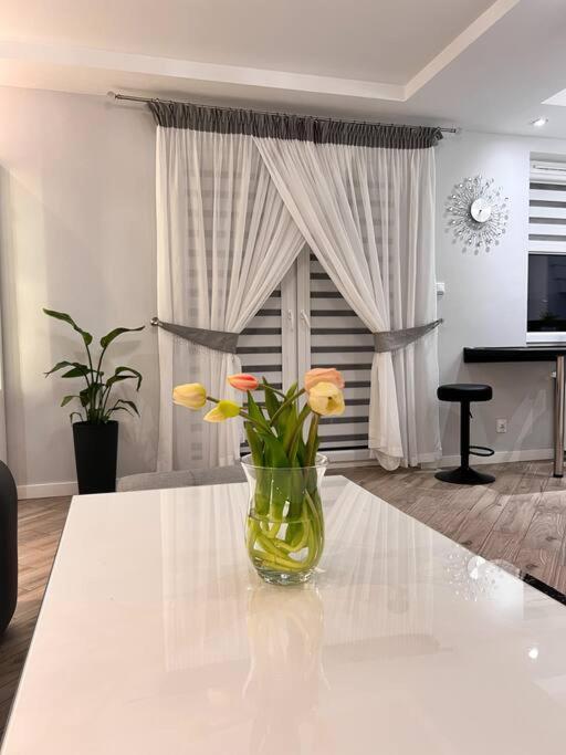 Apartament Zamojski Mlynska Zamość Εξωτερικό φωτογραφία