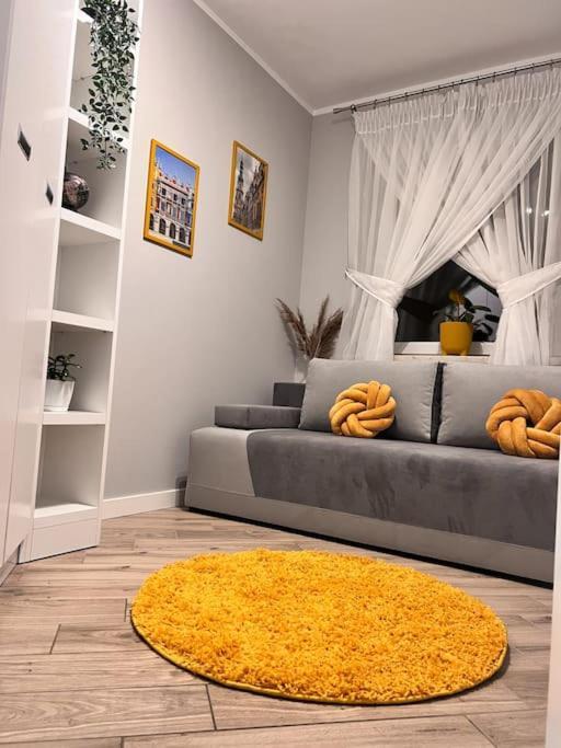 Apartament Zamojski Mlynska Zamość Εξωτερικό φωτογραφία