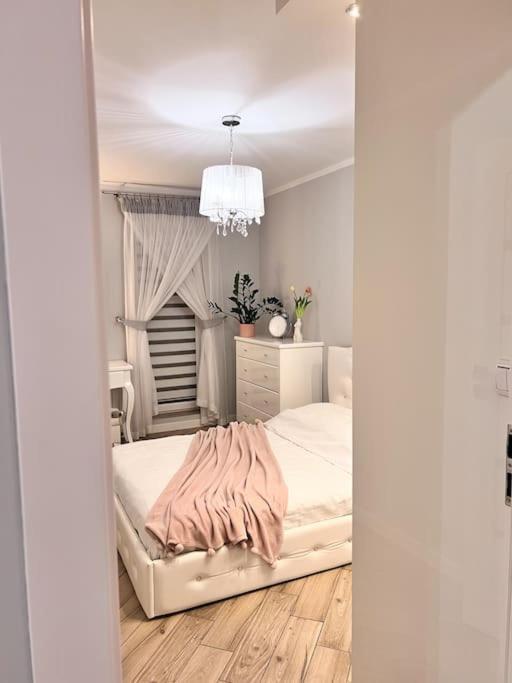 Apartament Zamojski Mlynska Zamość Εξωτερικό φωτογραφία